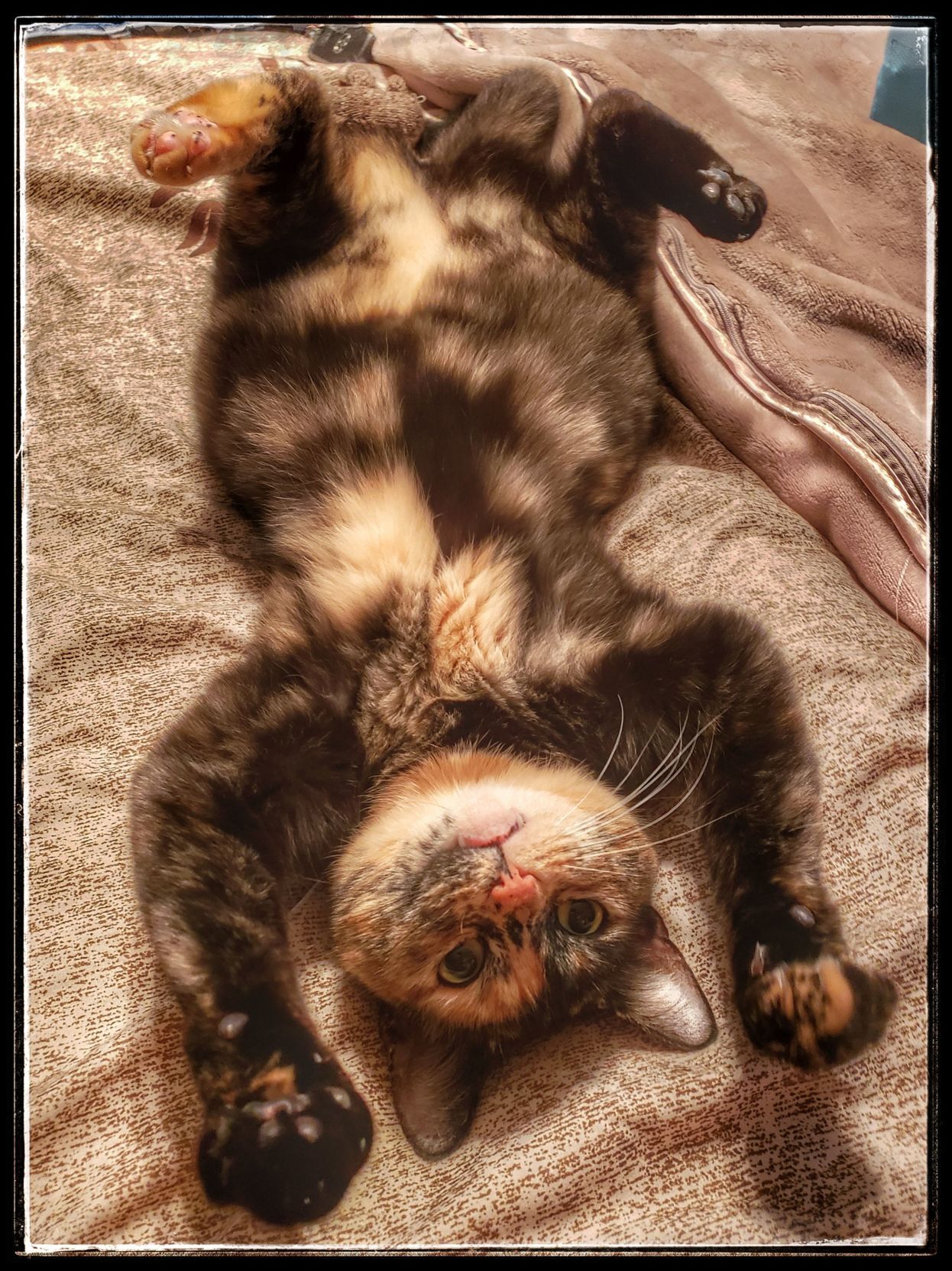 Upside down Adeline